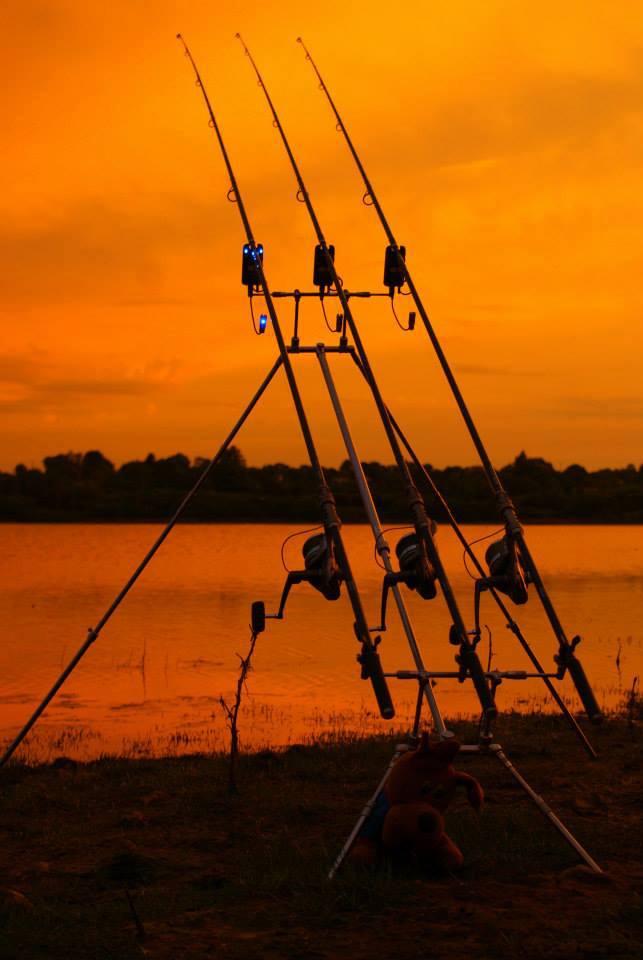 ::::::::- LIKE -:::::: - 10134035459095454448181154582084n.jpg